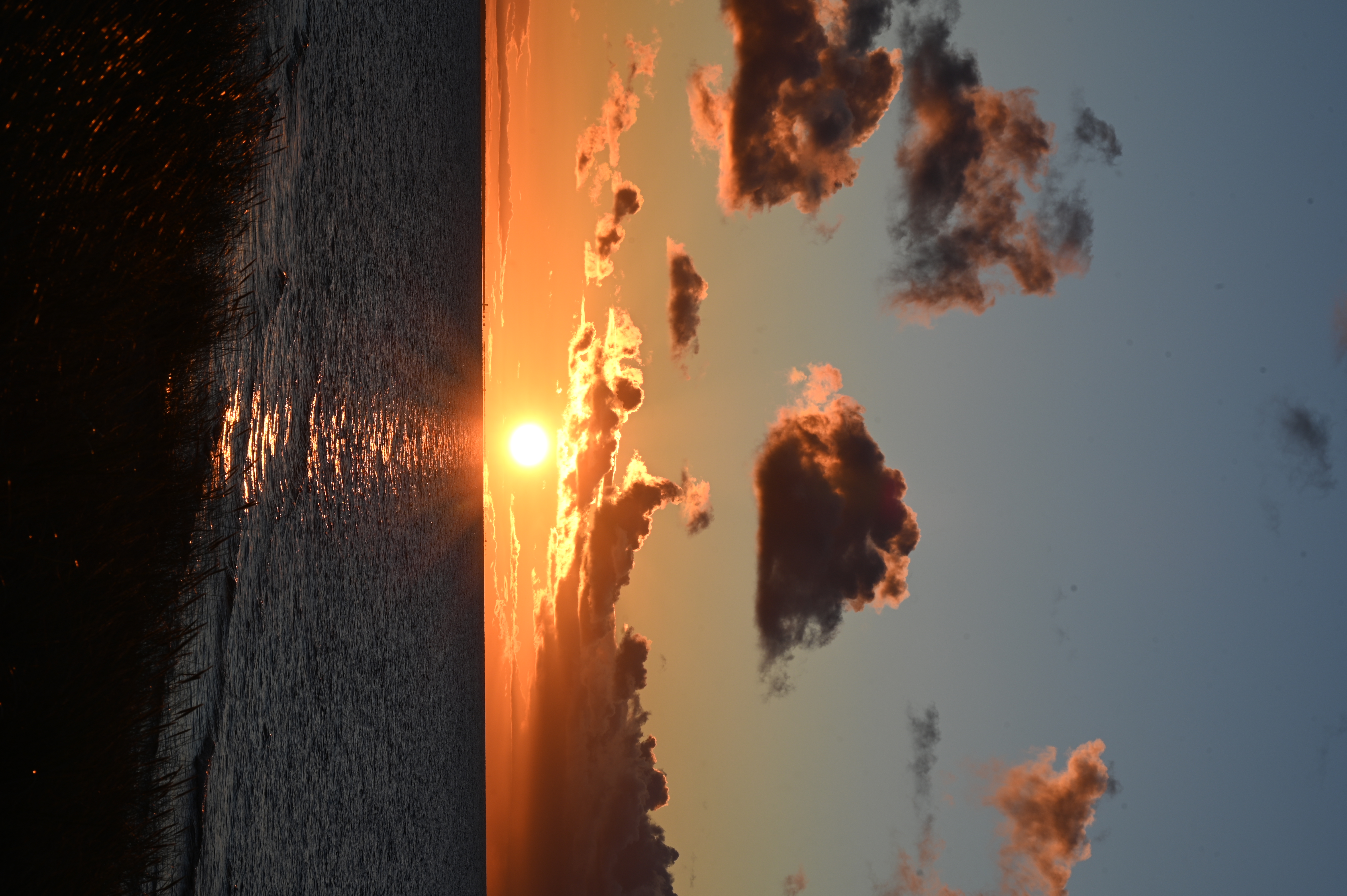 2025/10/18 - walk/DSC_0428.JPG